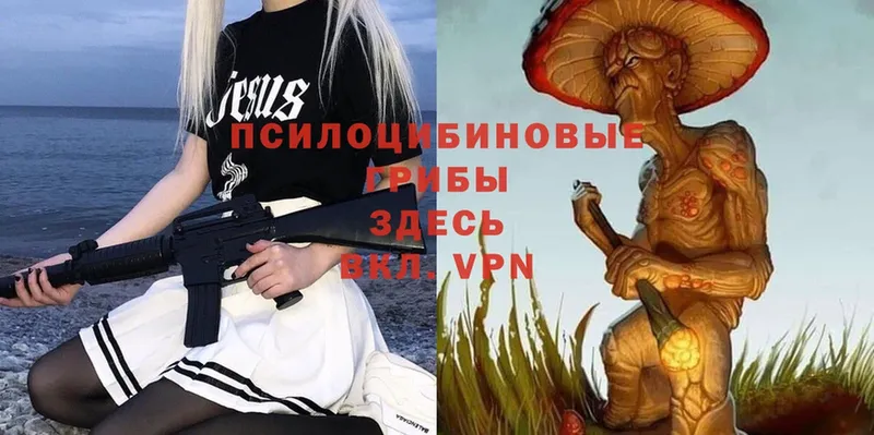 Галлюциногенные грибы Magic Shrooms  закладки  Серафимович 